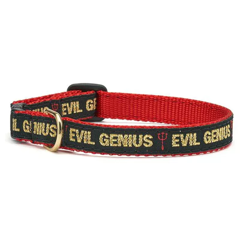 Up Country Evil Genius Cat Collar