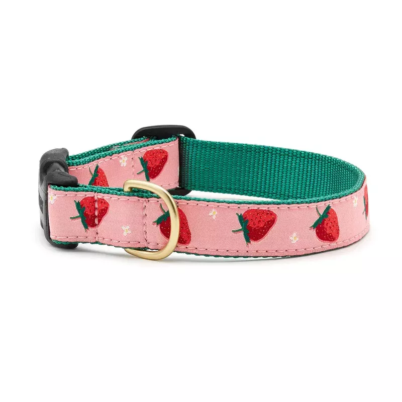 Up Country Strawberry Fields Collar SM Narrow