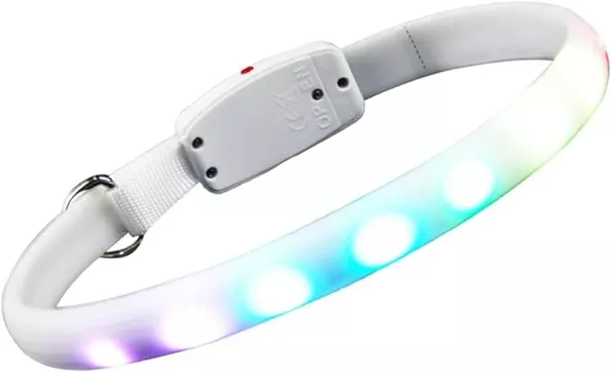 USB Rechargeable Luminous Dog Collar Led Pet Collar for Nighttime Safety Charming Design Mildly for Rainy Days Convenient Charging Durable for Daily Use