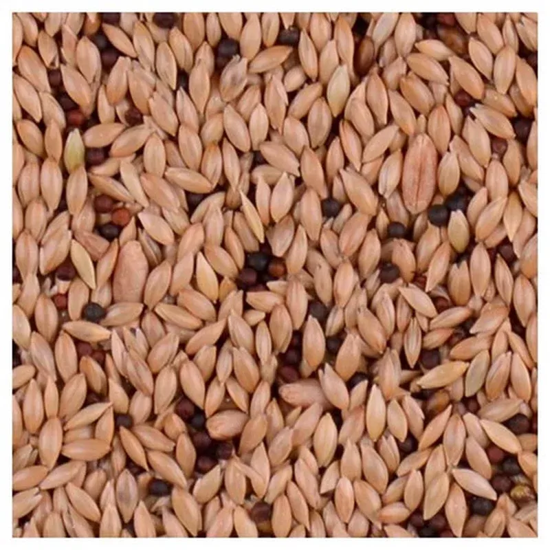 Volkman Seed Company, Bird’s Delight Parakeet 25% Food, 20 Lbs