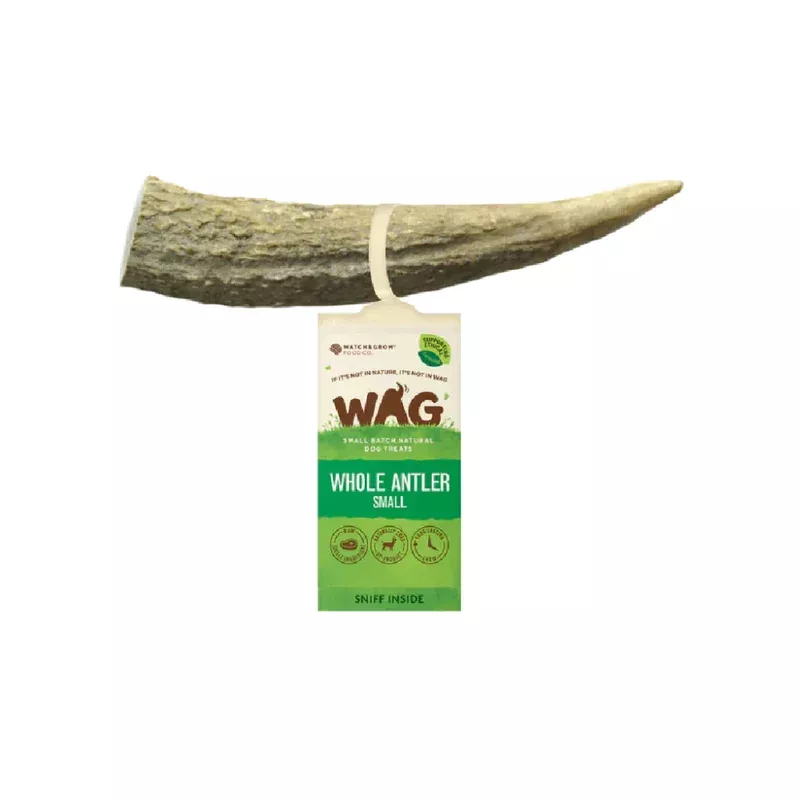 WAG Dog Chew Whole Antler Small