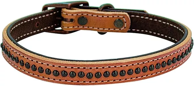Weaver Leather Pet Outlaw Collar