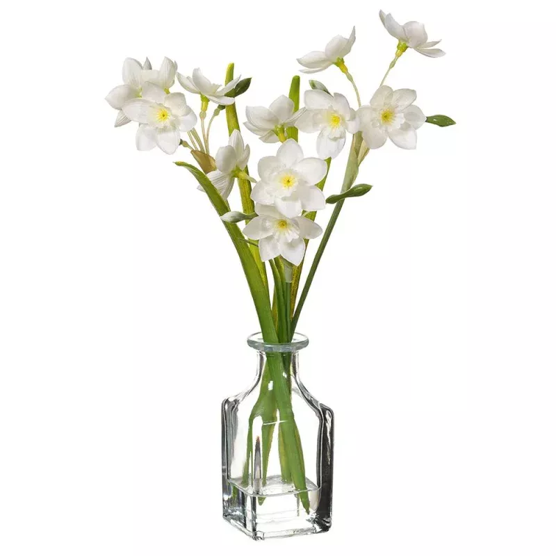 White Daffodil in Clear Vase