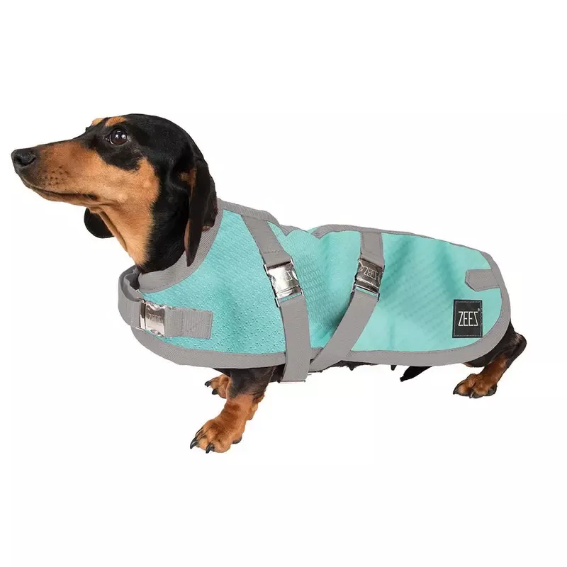 ZeeZ Supreme Dachshund Dog Coat – Mint Green/Grey