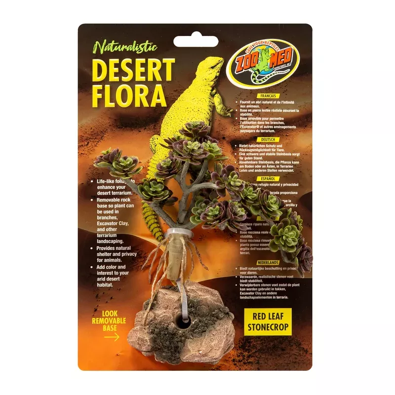 Zoo Med Desert Flora Plant Red Leaf Stonecrop